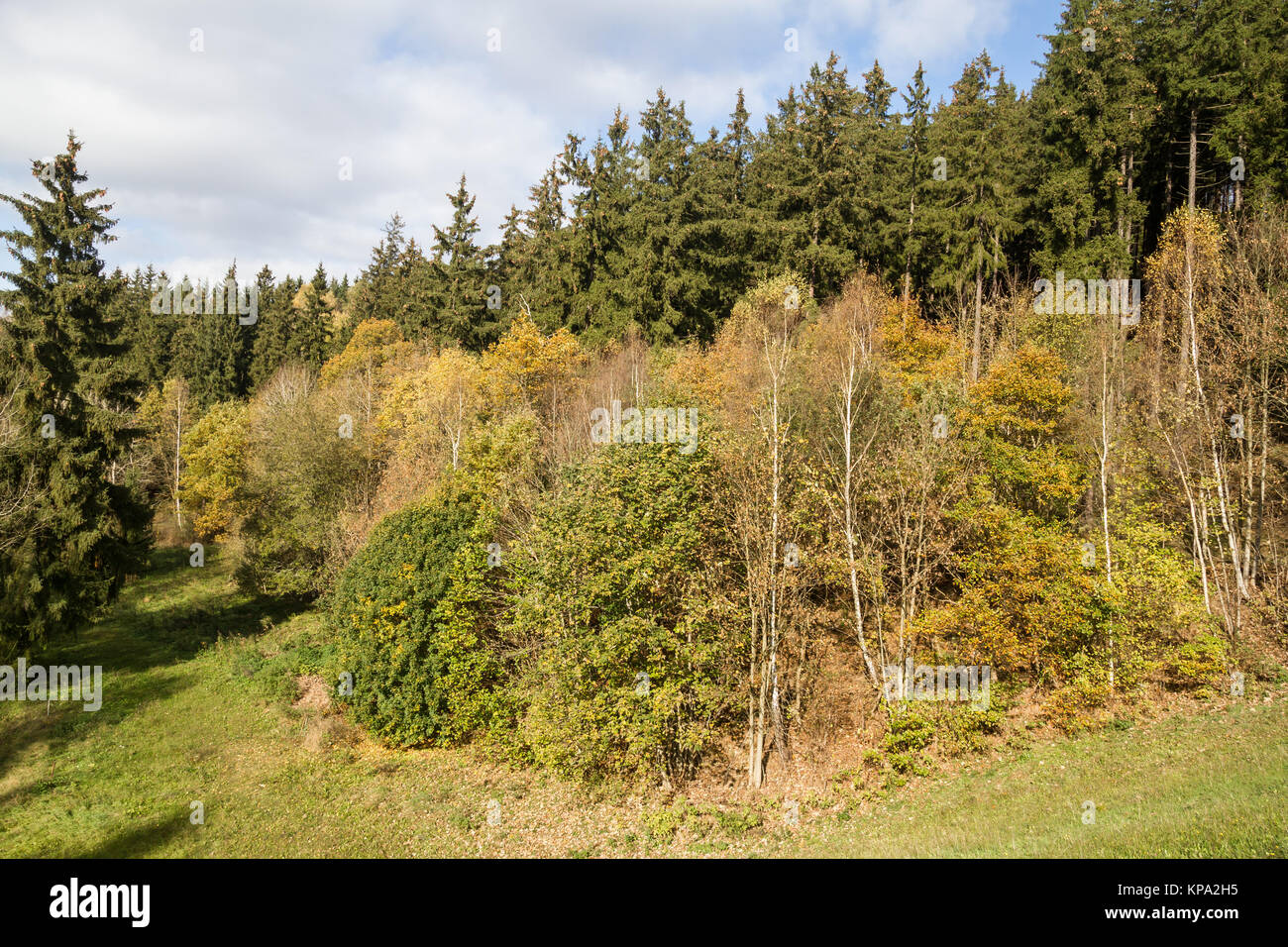 FÃ¼rstenteich fÃ¼rstenteich silberhuette Harz Stockfoto