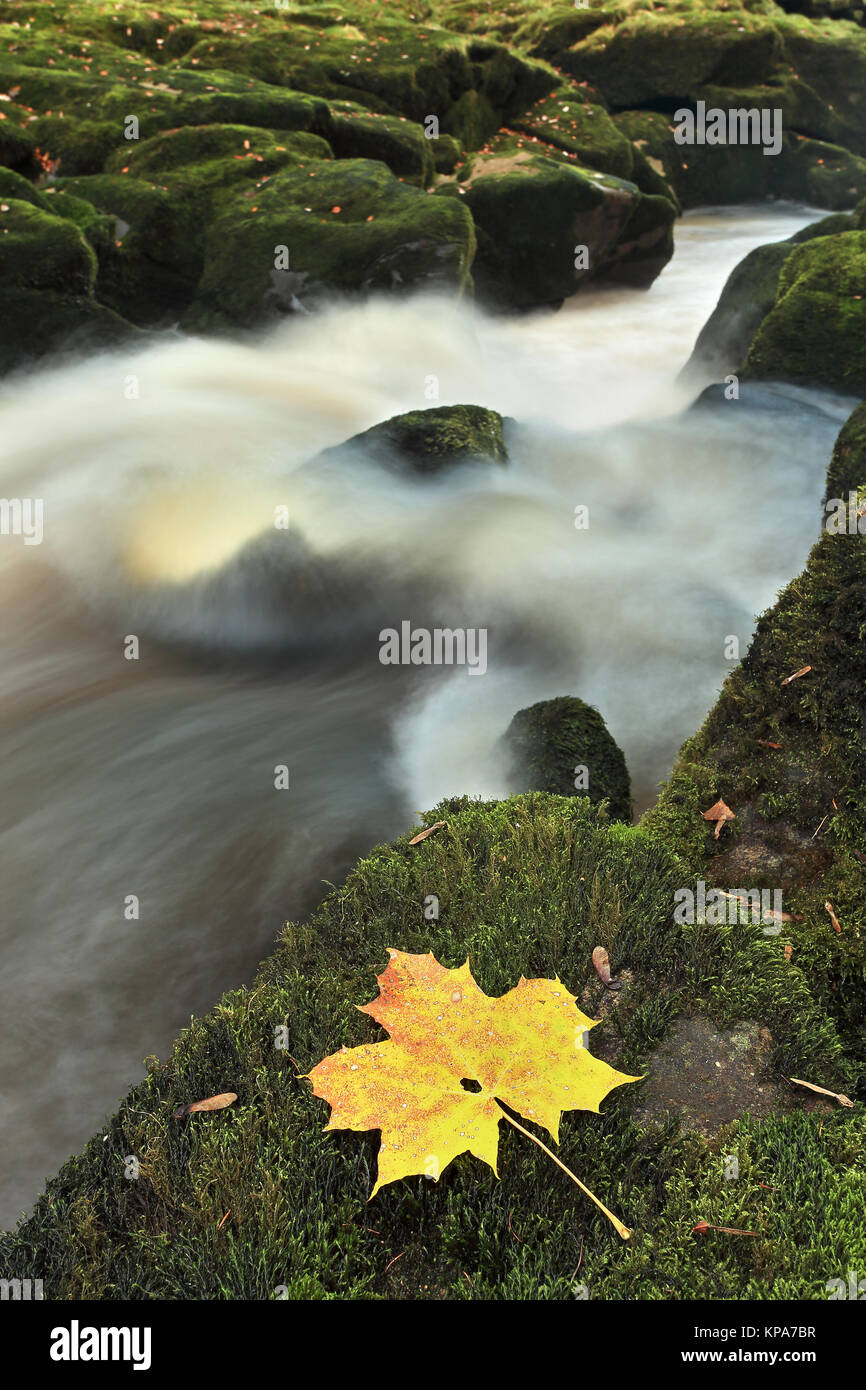 Die Strid, einem sehr schmalen Abschnitt des Flusses Wharfe in der Nähe von Bolton Abbey in Yorkshire Dales National Park, North Yorkshire, Großbritannien Stockfoto