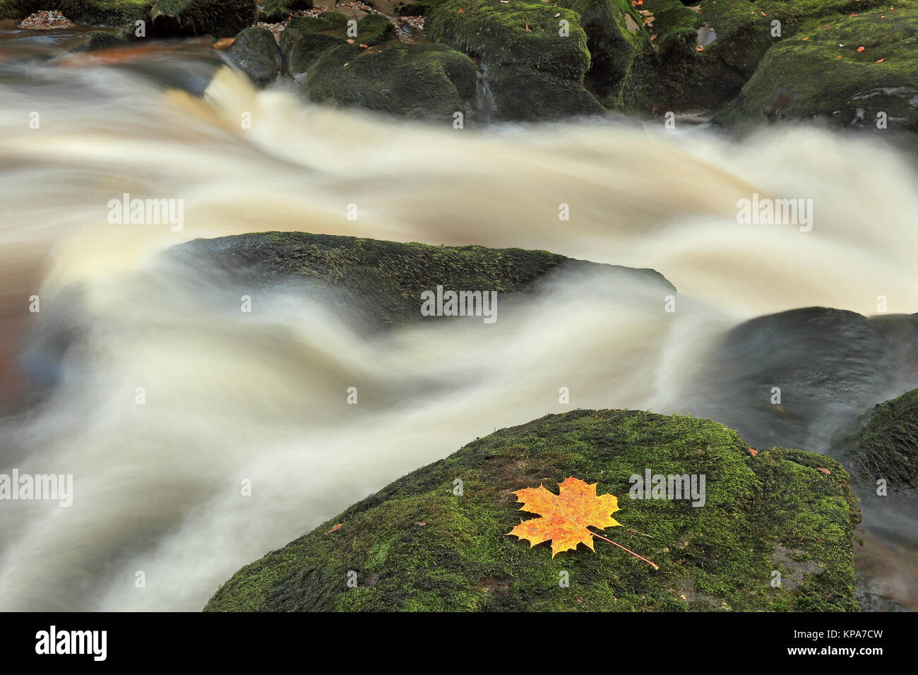 Die Strid, einem sehr schmalen Abschnitt des Flusses Wharfe in der Nähe von Bolton Abbey in Yorkshire Dales National Park, North Yorkshire, Großbritannien Stockfoto