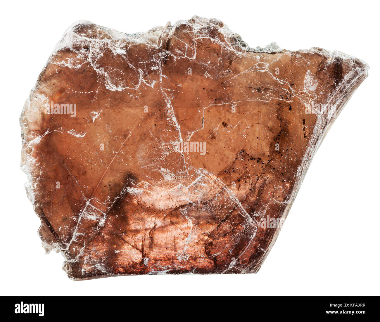 Braun Muskovit (gemeinsame Glimmer) Mineral Stein Stockfoto