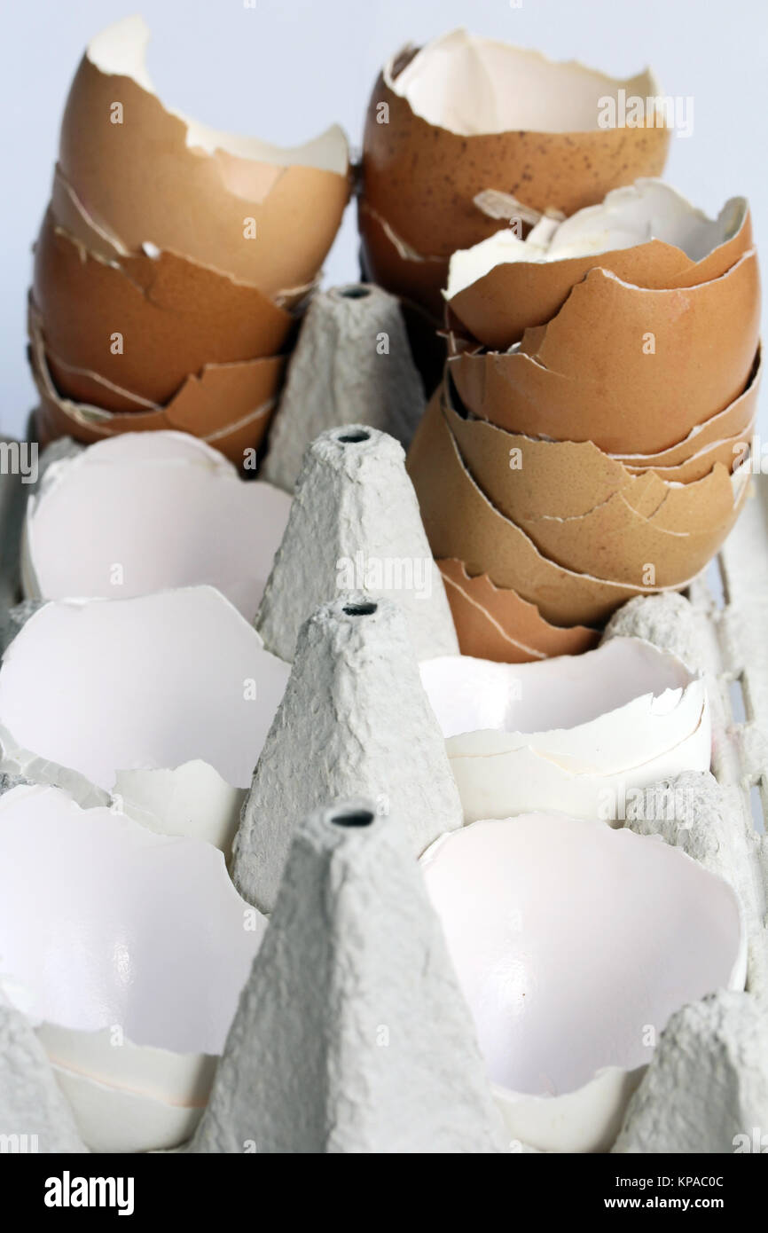 Leere Eierschalen in einem Eierkarton - VIELE braune und weiße ...