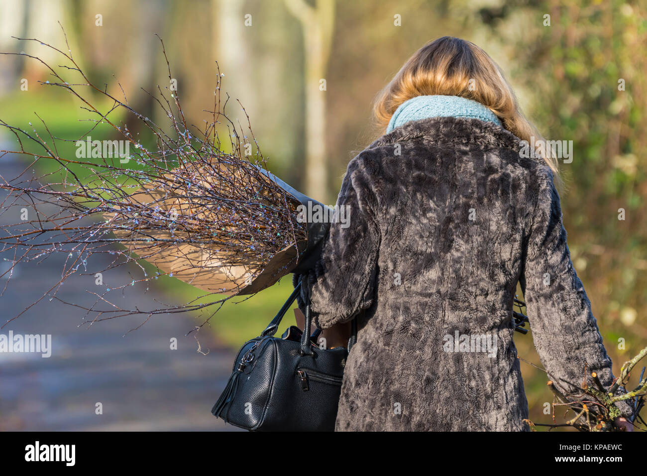 Eine Frau Walking im Winter tragen ein Bündel Reisig. Stockfoto