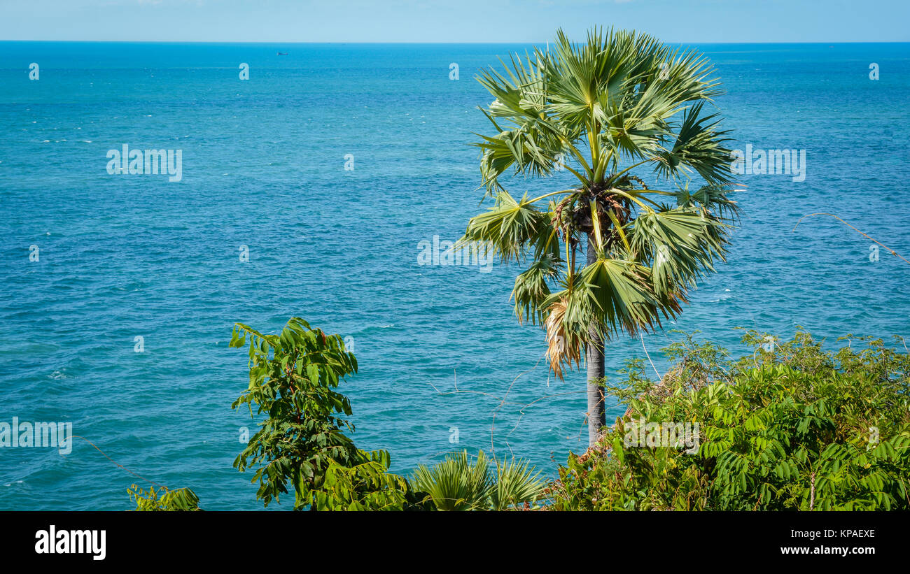 Palmen und das blaue Meer, an der Küste der Andamanensee Stockfoto