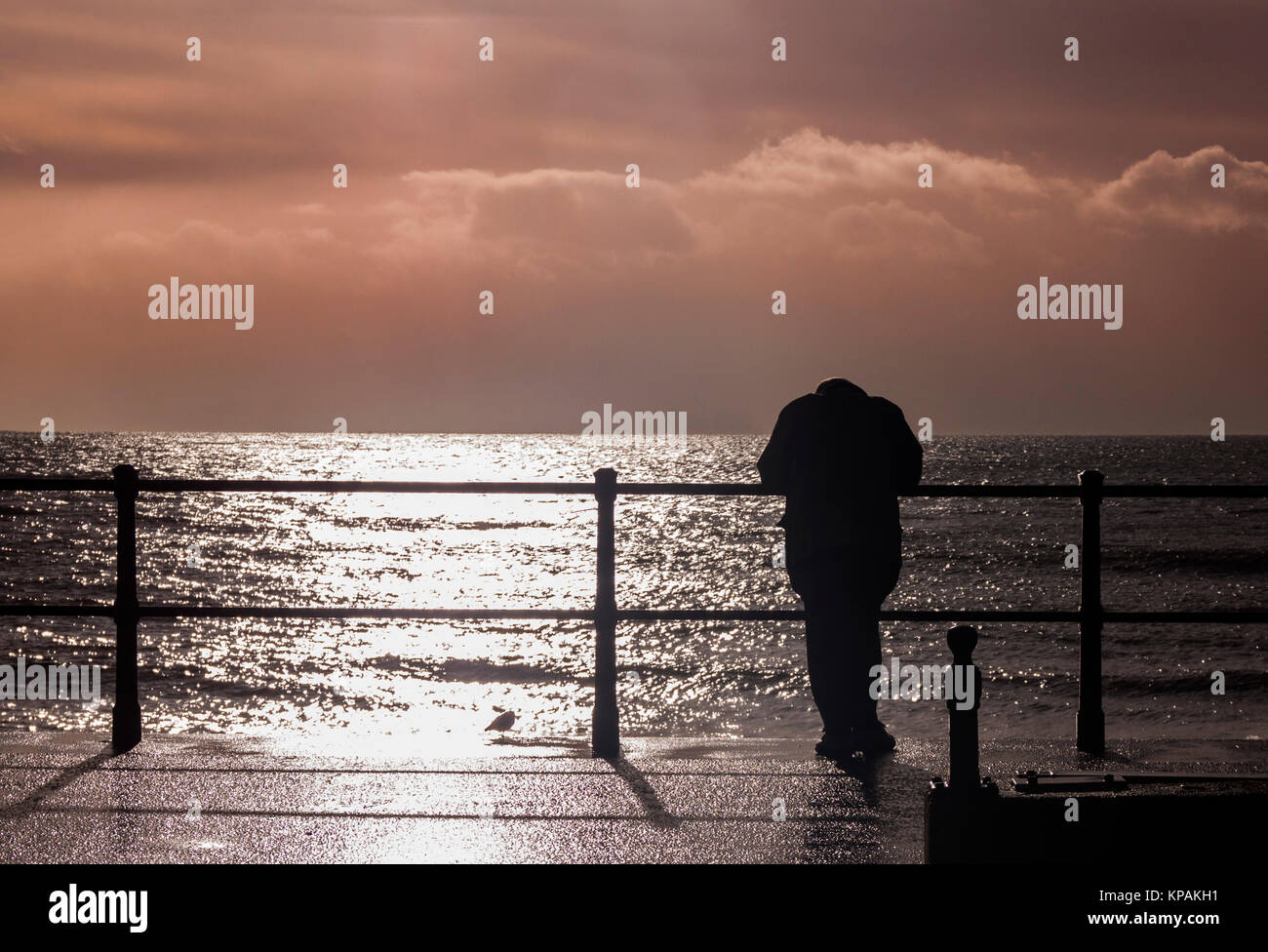 Honiton, Devon. 14 Dez, 2017. Ein Mann schaut auf das Meer von der Esplanade in Sidmouth. Morgen Sonnenschein war in Wolken und Regen am Nachmittag in Devon. Credit: Foto Central/Alamy leben Nachrichten Stockfoto