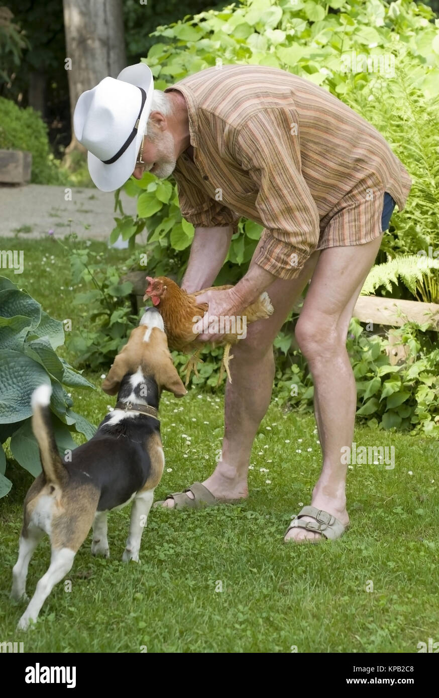 Model Release, Pensionist Mit Hund Und Huhn in der Wiese - Rentner mit Hund und Huhn in der Wiese Stockfoto