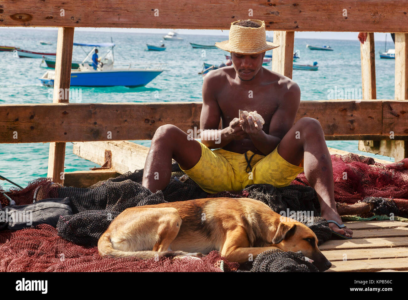 Mann mit seinem Hund zu seinen Füßen, Carving eine Schildkröte aus einem Bit der Koralle auf der Pier in Santa Maria, Insel Sal, Salina, Kap Verde, Afrika Stockfoto