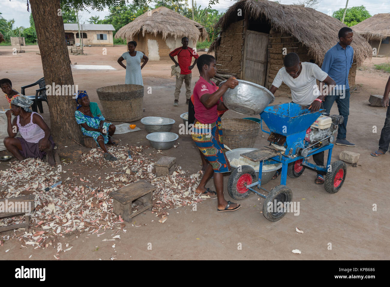 Schleifen die geschälten und gewaschenen Manioka-wurzeln, Dorf in der Nähe von Mafi-Kumase, Volta Region, Ghana, Afrika Stockfoto