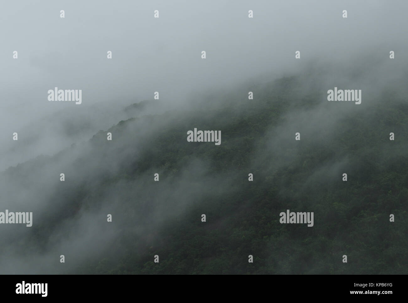 Aufsteigende Nebel in den Bergen Stockfoto