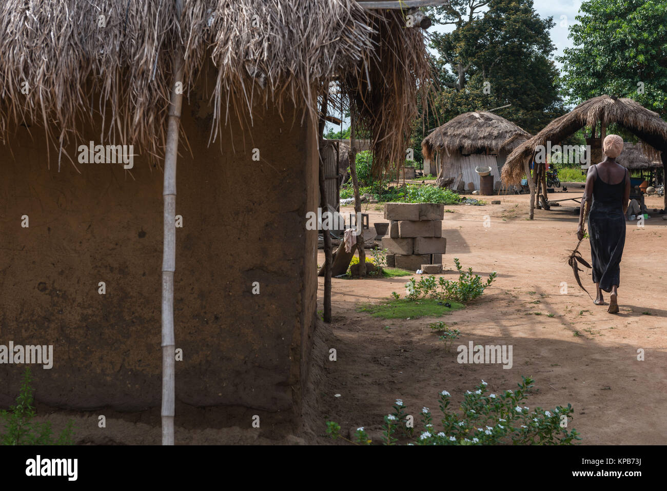 Nachbarschaft in einem Dorf in der Nähe von Mafi-Kumase, Volta Region, Ghana, Afrika Stockfoto