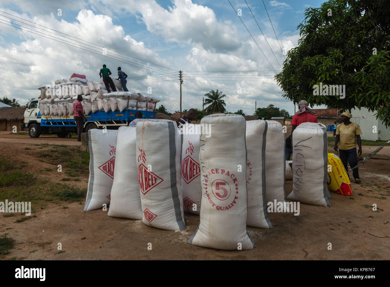 Laden Säcke von Gari zu verschiedenen lokalen Märkte, Dorf in der Nähe von Mafi-Kumase, Volta Region, Ghana, Afrika transportiert werden. Stockfoto