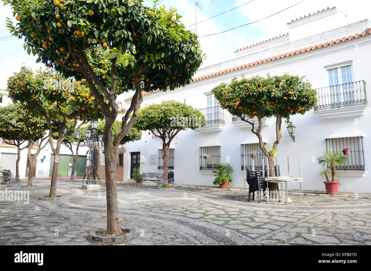 Orangenbäumen im weißen Quadrat von Estepona, einer Stadt in der Provinz Malaga, Andalusien, Spanien. Stockfoto