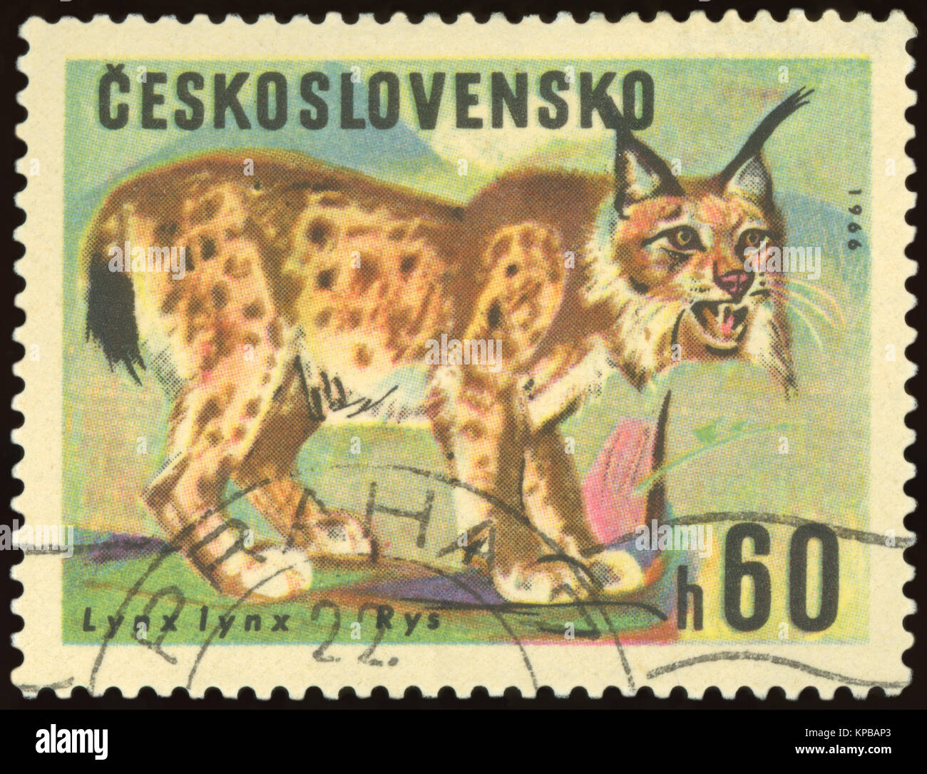Tschechoslowakei - ca. 1966: mit einem Stempel, in der Tschechoslowakei gedruckt, zeigt eine Rys Tier, ca. 1966. Stockfoto