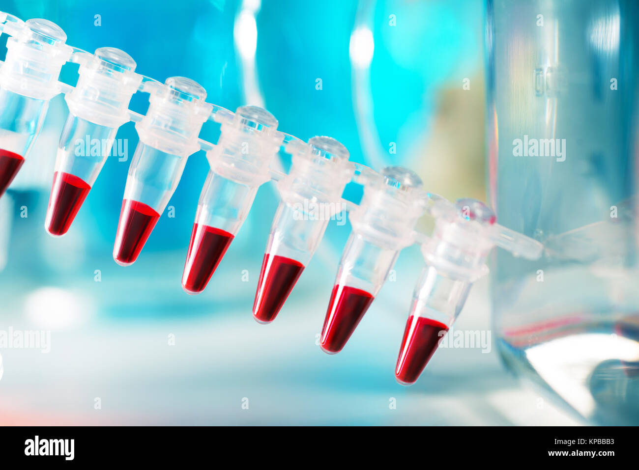 Nahaufnahme auf Kunststoffrohre für die DNA-Analyse in der PCR Stockfoto