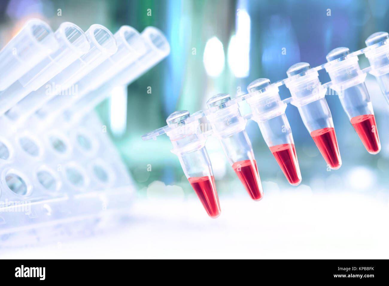 Kunststoffrohre mit roten Proben für PCR-DNA zu analysieren Stockfoto