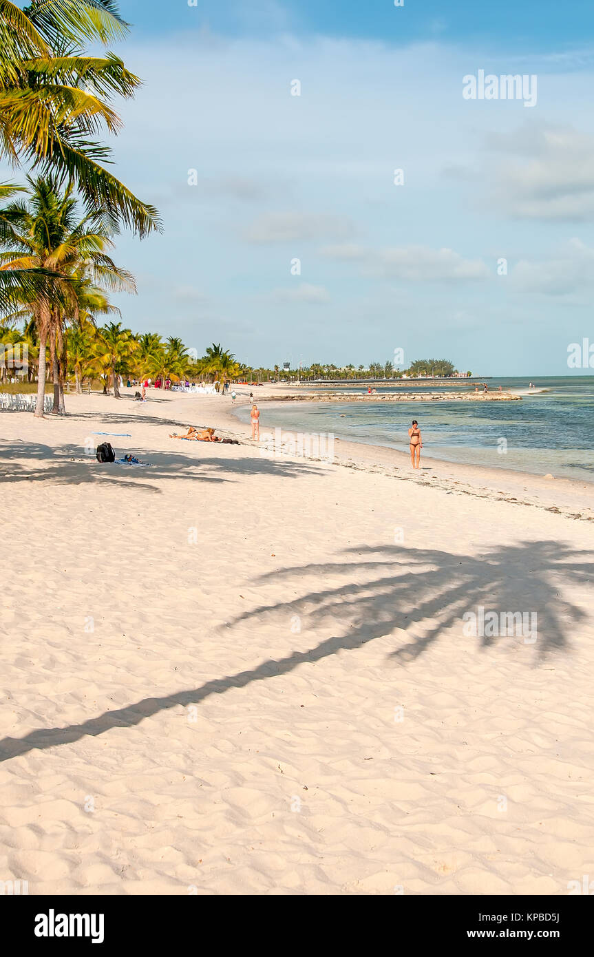 Weißer Sand Smathers Strand mit Palmen, Key West, Florida Stockfoto