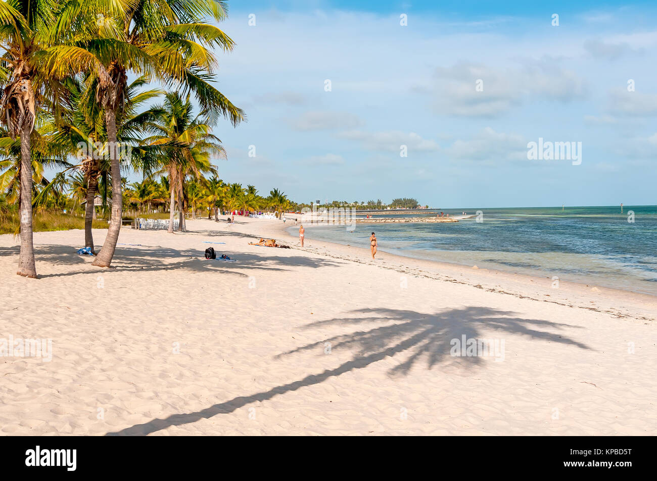 Weißer Sand Smathers Strand mit Palmen, Key West, Florida Stockfoto