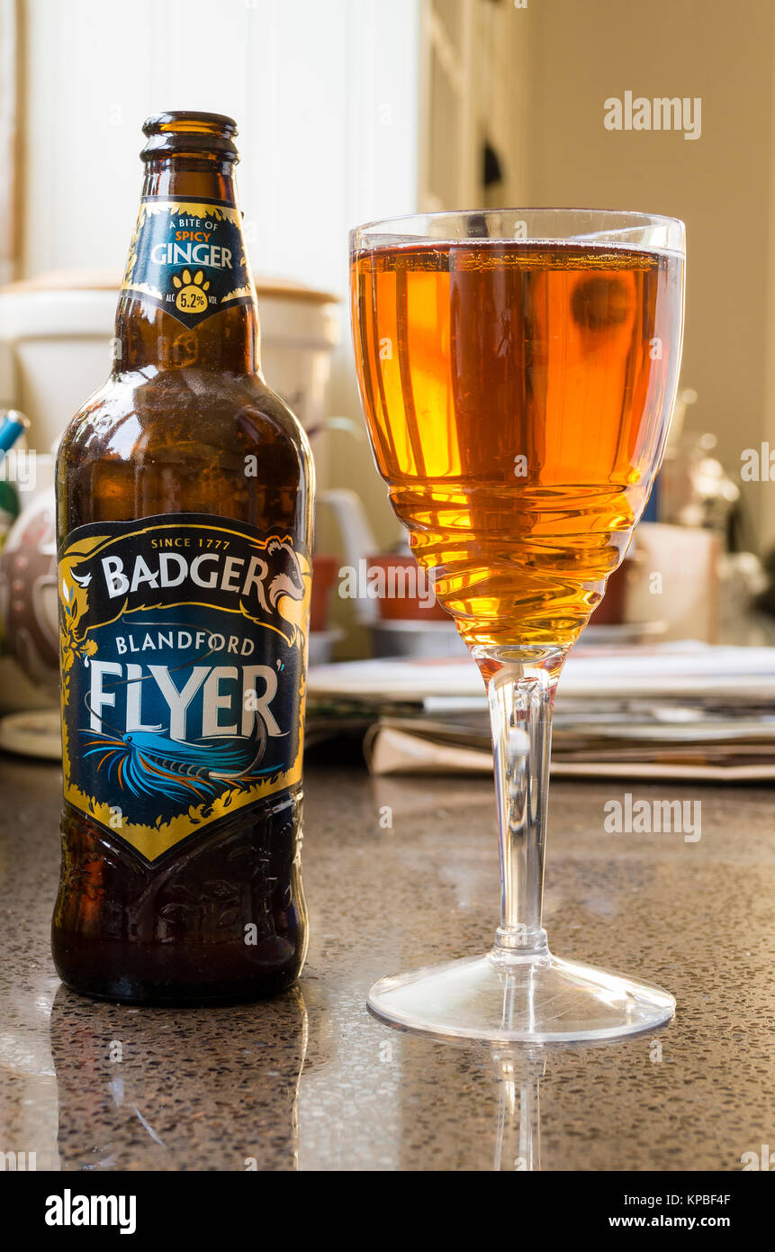 Flasche real ale genannt BLANDFORD FLYER (Angeln) von Badger Brauerei in Großbritannien Stockfoto
