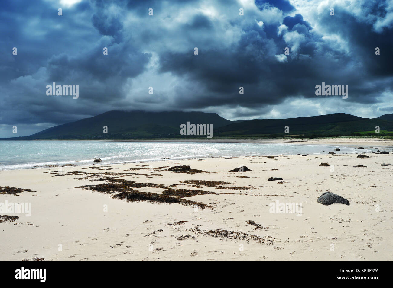 Strand mit dramatischen Himmel und Berg in Dingle, Irland. Auf Sand Algen. Stockfoto
