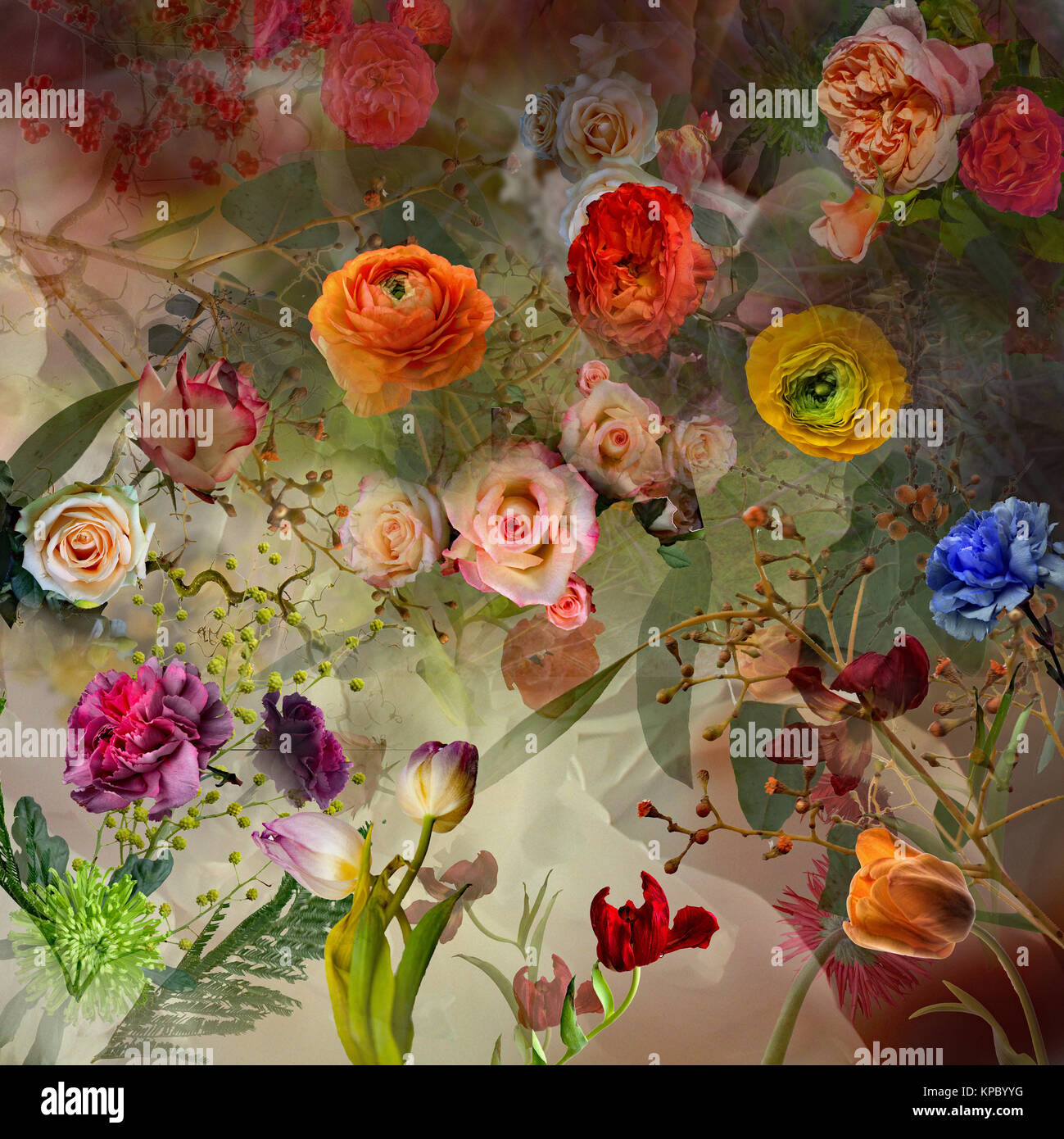 Blumenrausch Stockfoto