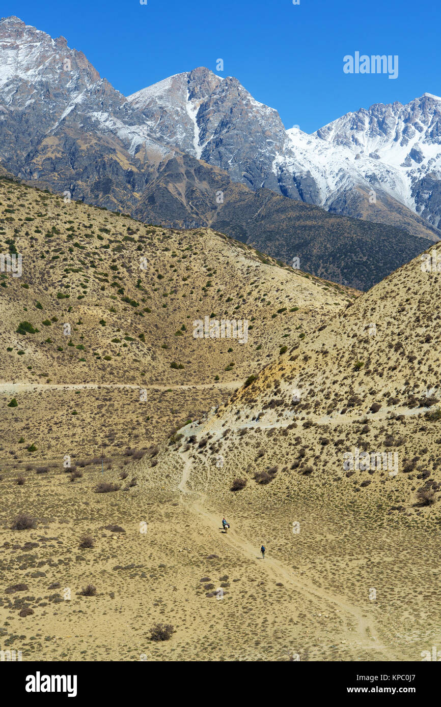 Trekker und Reiter zu Fuß auf den Spuren zwischen Chele und Samar, Upper Mustang, Nepal. Stockfoto