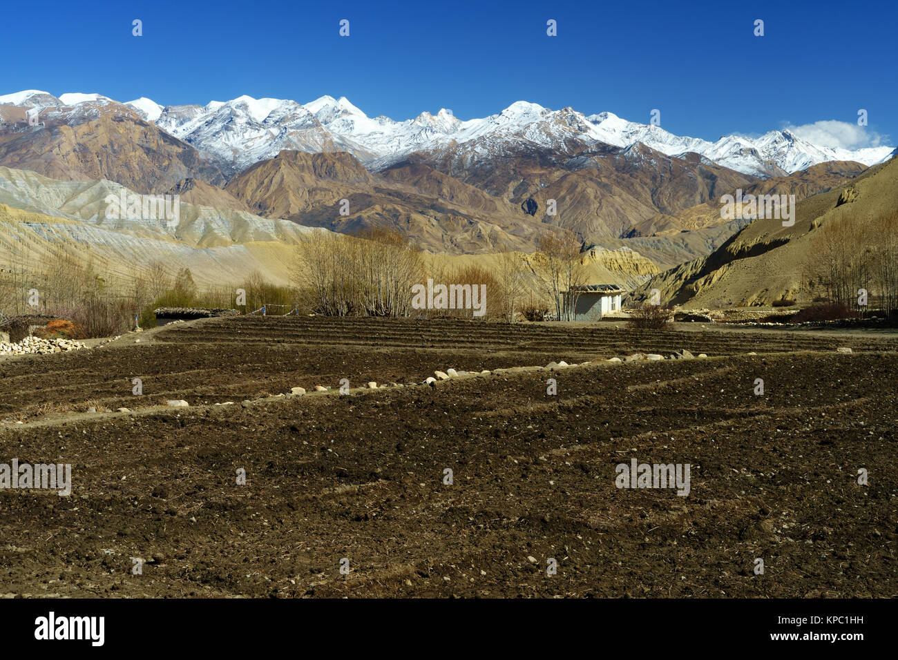 Gepflügte landwirtschaftliche Felder in der Nähe von Ghemi, Upper Mustang, Nepal. Stockfoto