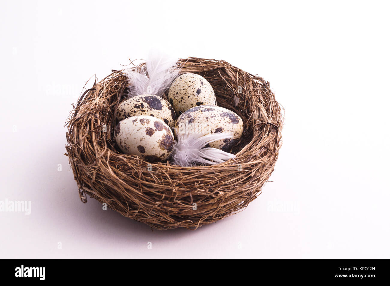 Wachtel Ei im Nest, Frühling und Ostern Stockfoto