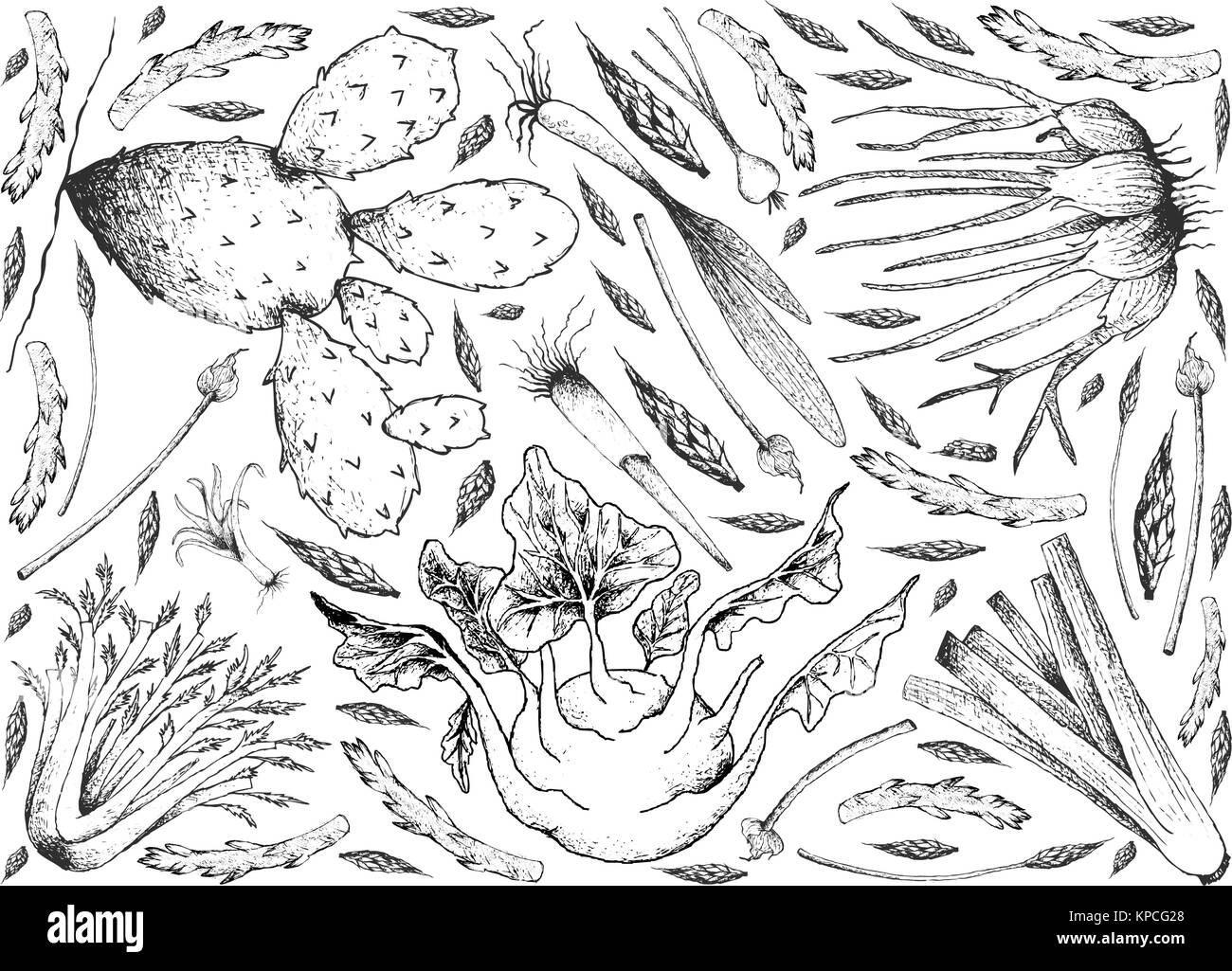 Gemüse- und Kräutergarten, Illustration von Hand gezeichnete Skizze köstliche frische Birne und Stammzellen Gemüse isoliert auf weißem Hintergrund. Stock Vektor