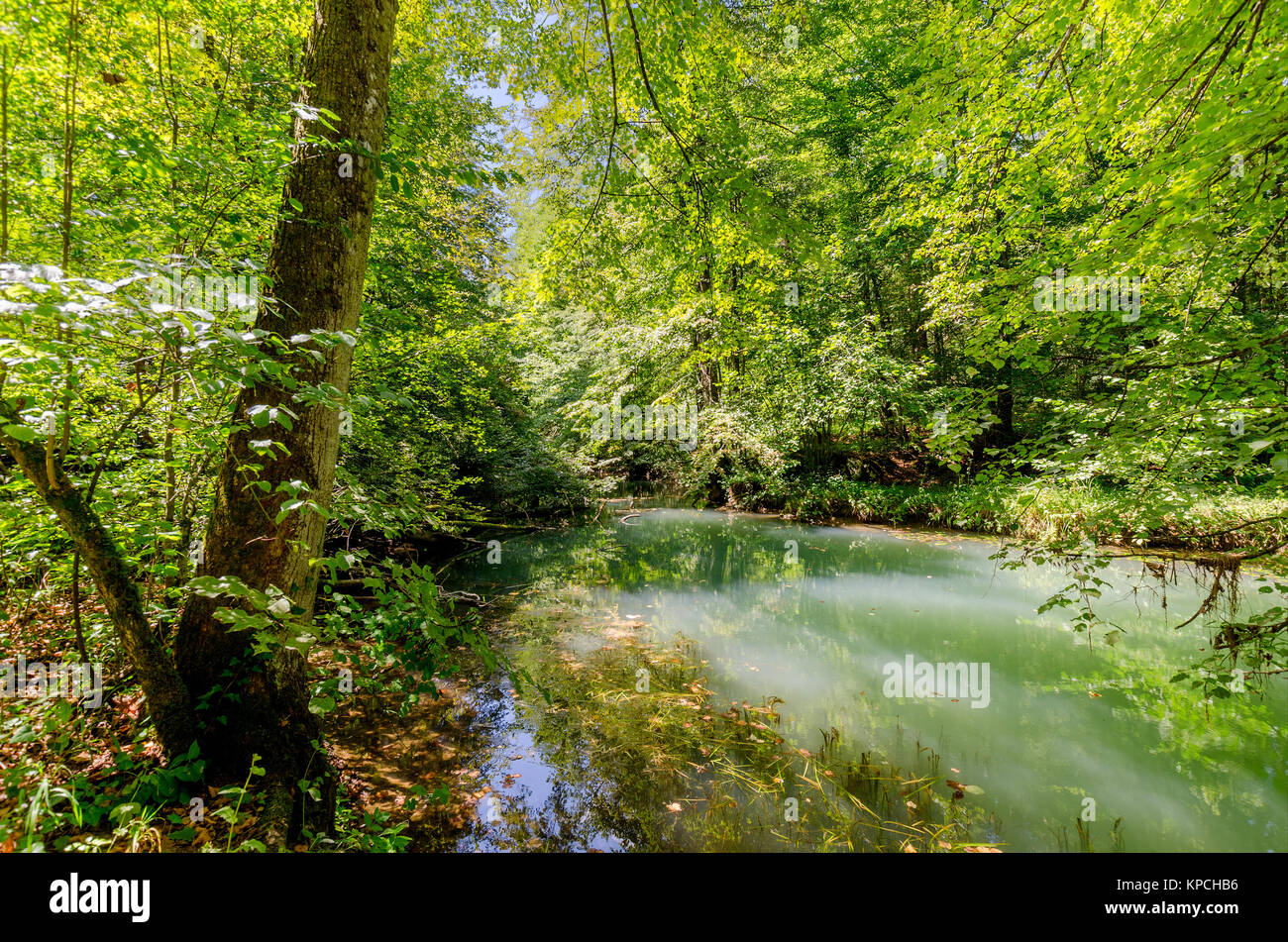 Lahinja Fluss Naturpark, Bela Krajina (Weiß Krain) Region in Slowenien, Europa. Stockfoto