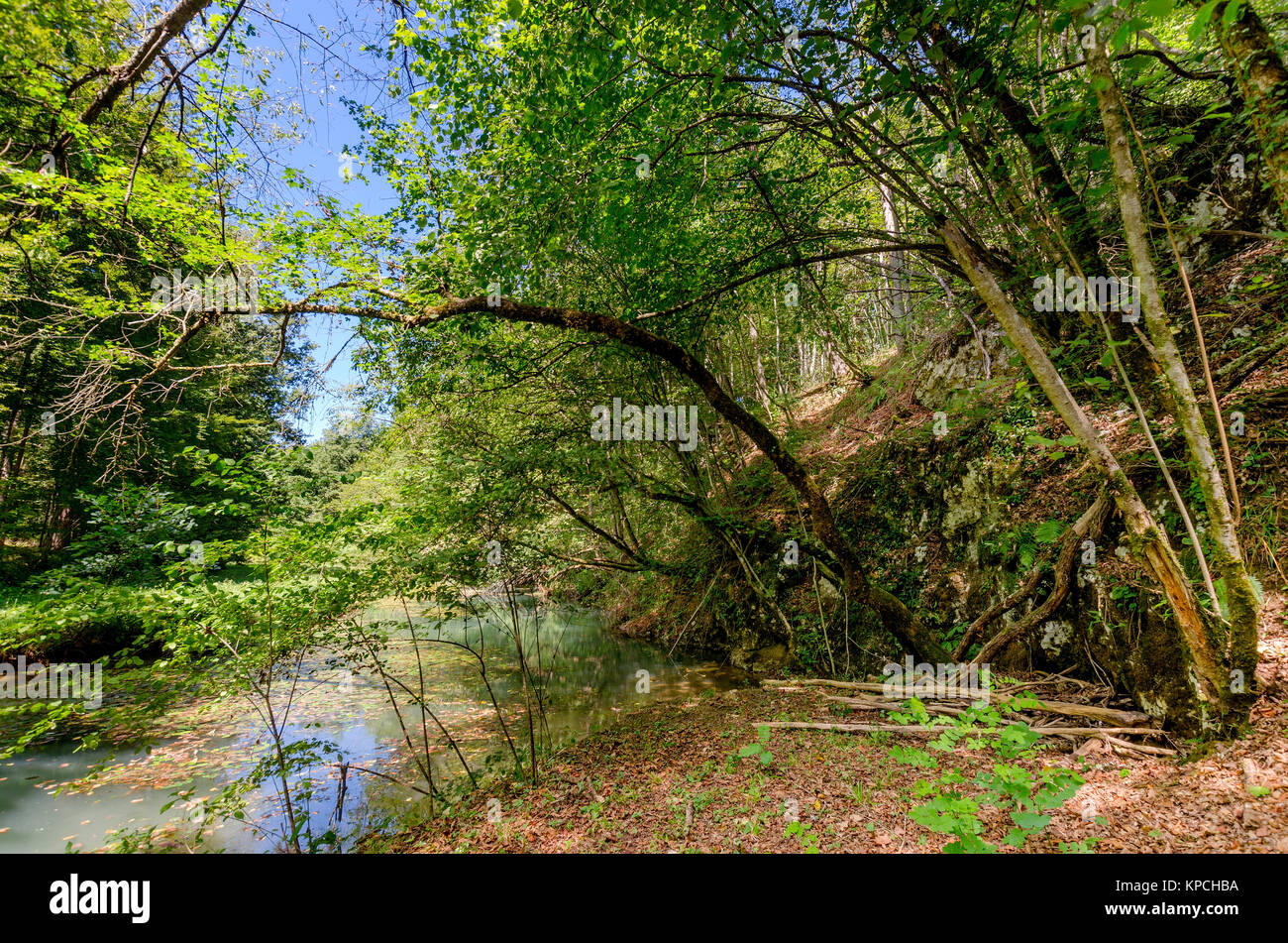 Lahinja Fluss Naturpark, Bela Krajina (Weiß Krain) Region in Slowenien, Europa. Stockfoto
