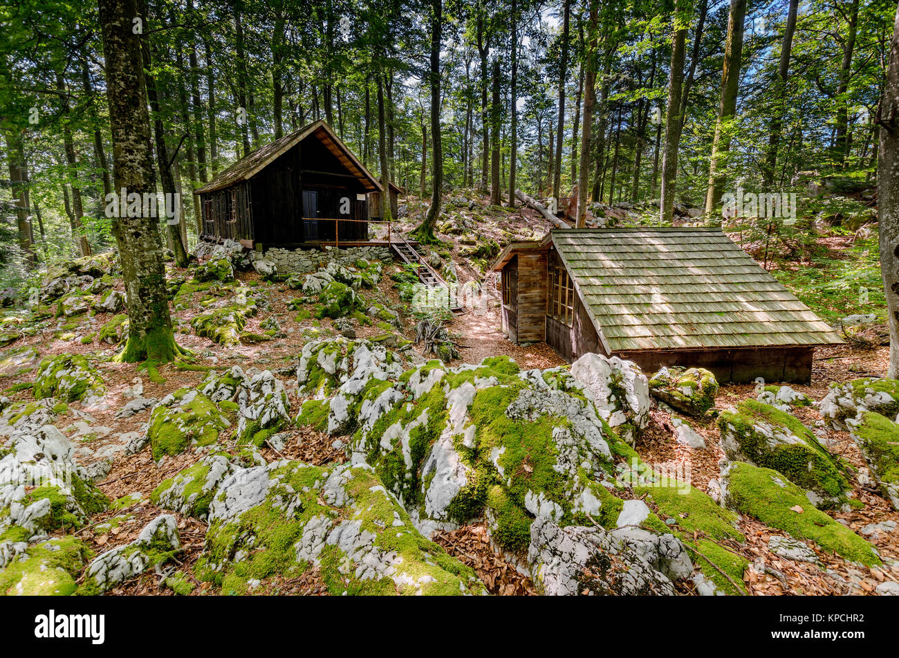 Base20 auf Kočevski Rog, geheime IIWW Hauptsitz der Widerstandsbewegung, Bela Krajina (Weiß Krain) Region, Slowenien, Europa. Stockfoto
