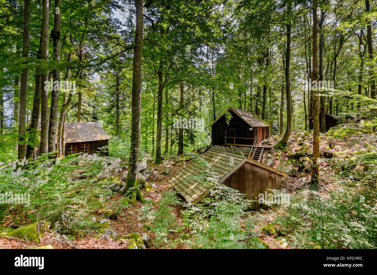 Base20 auf Kočevski Rog, geheime IIWW Hauptsitz der Widerstandsbewegung, Bela Krajina (Weiß Krain) Region, Slowenien, Europa. Stockfoto