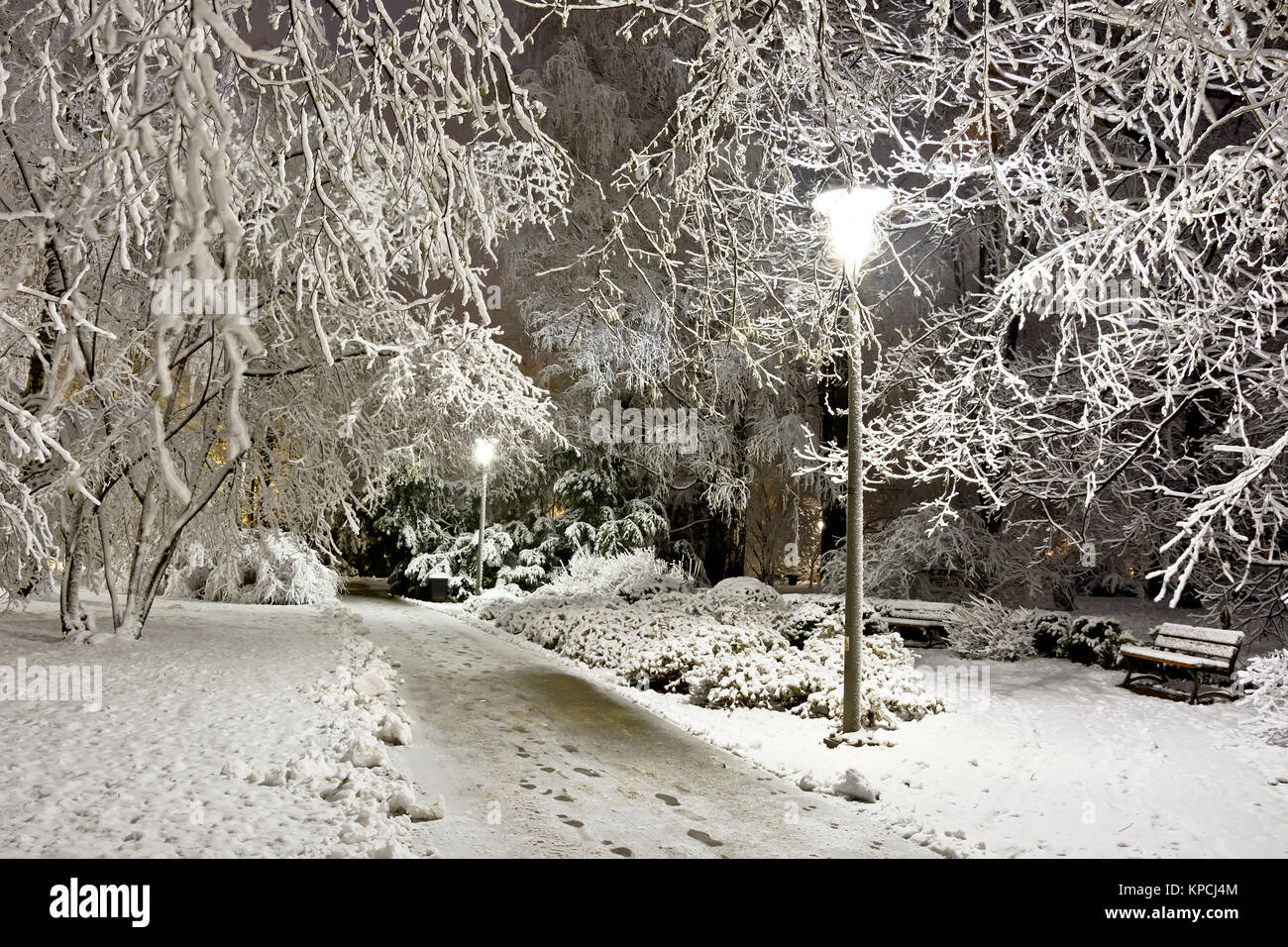 Eine verschneite Stadt Park bei Nacht. Winter. Stadt bei Nacht. Stockfoto