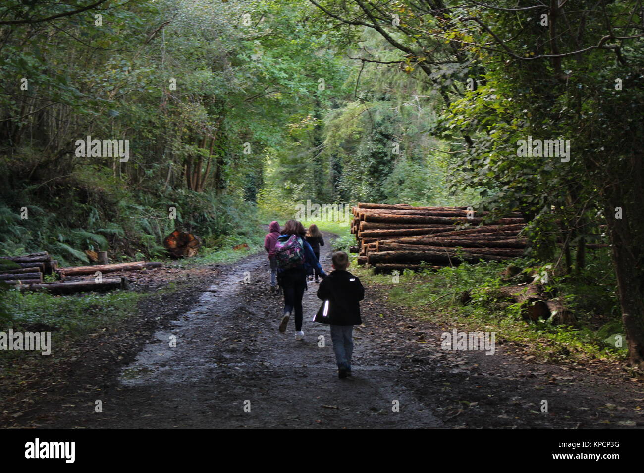 Vier Kinder im Wald Stockfoto