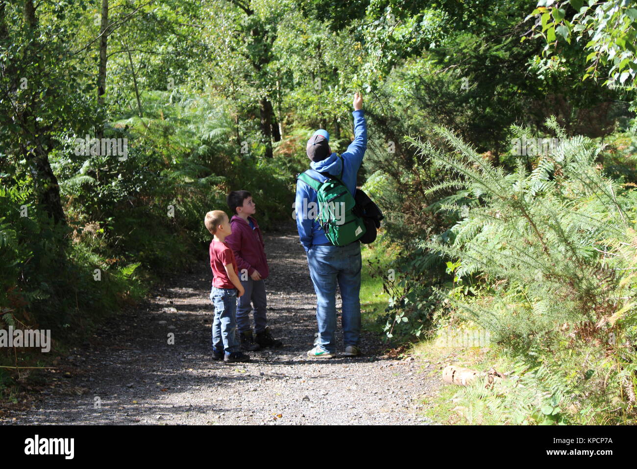 Vater und Söhne Stockfoto