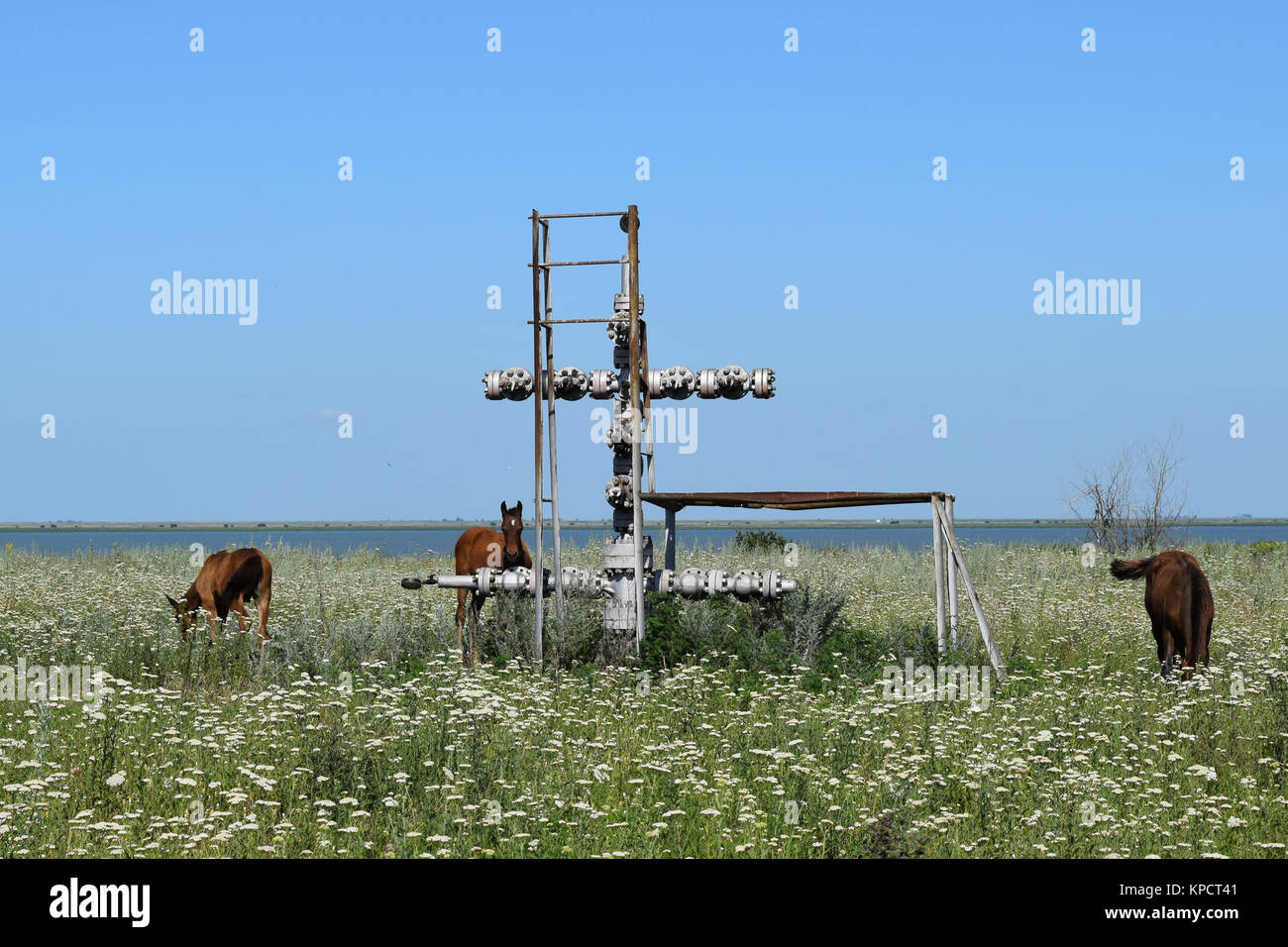 Ausrüstung von einer Ölquelle Stockfoto