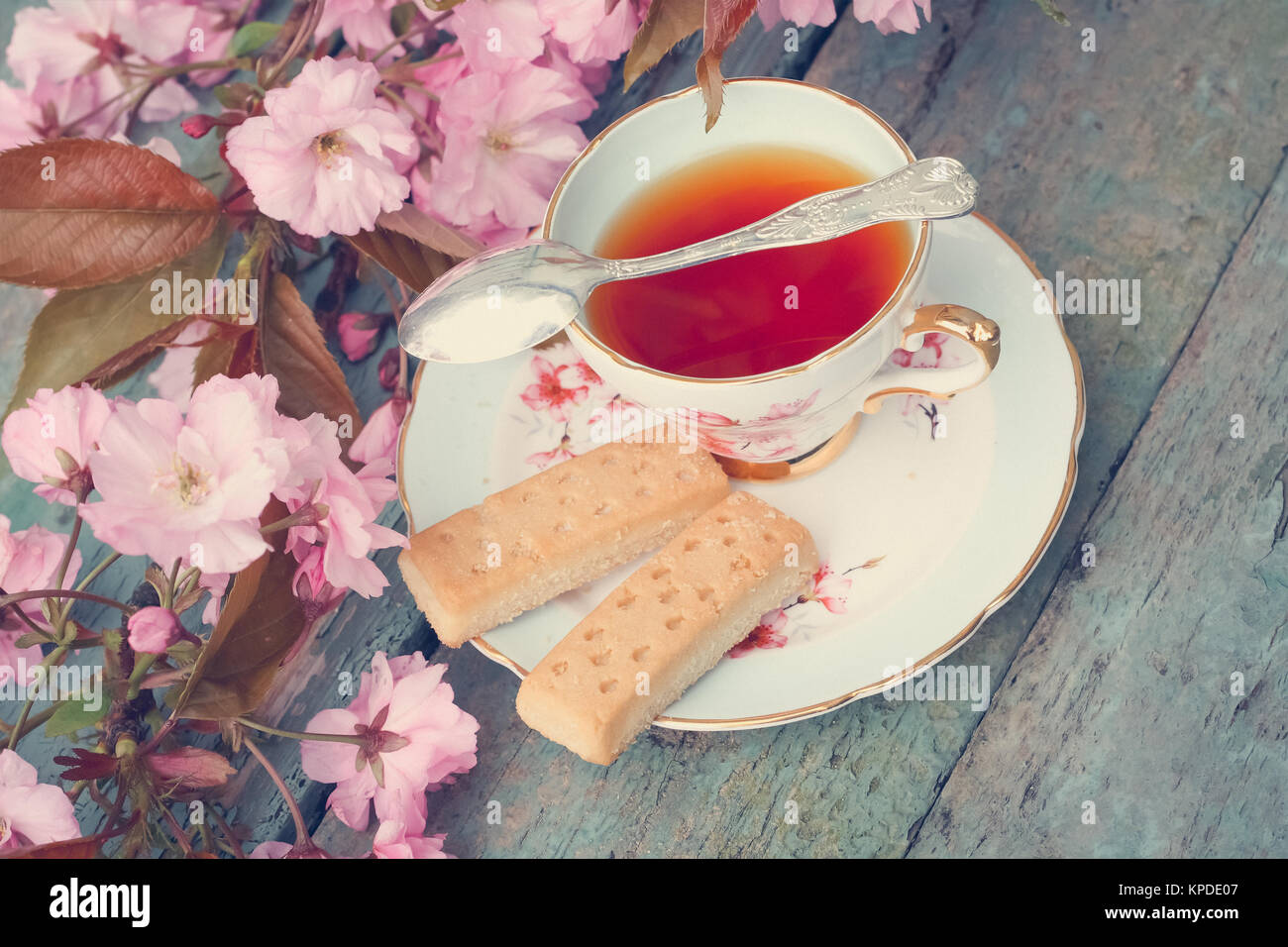 Schöne, Englisch, vintage Teetasse mit schottischen Shortbread und japanische kirsche baum Blüten, Nähe upt Stockfoto