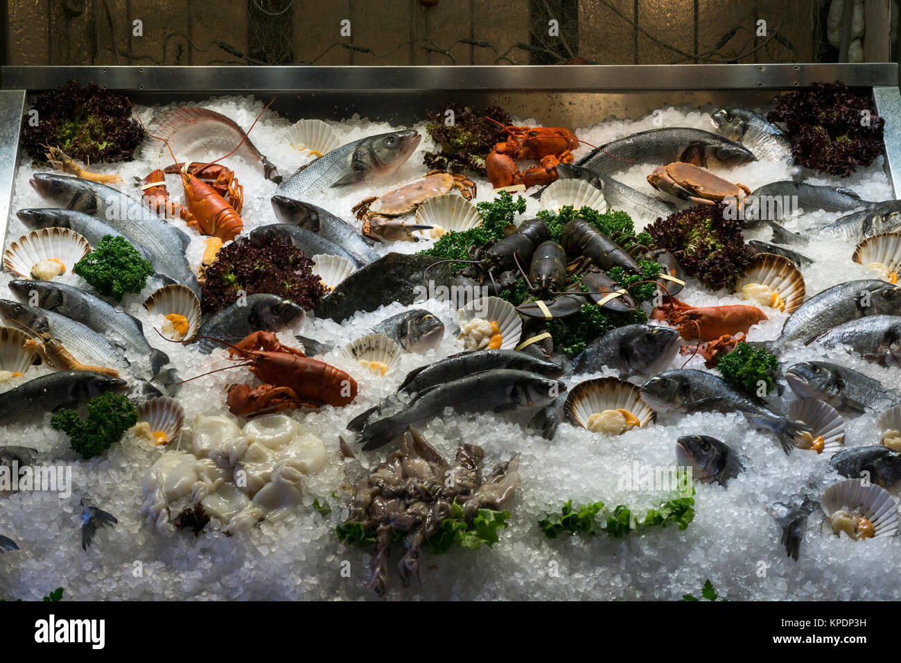 Meeresfrüchte auf dem display Stockfoto