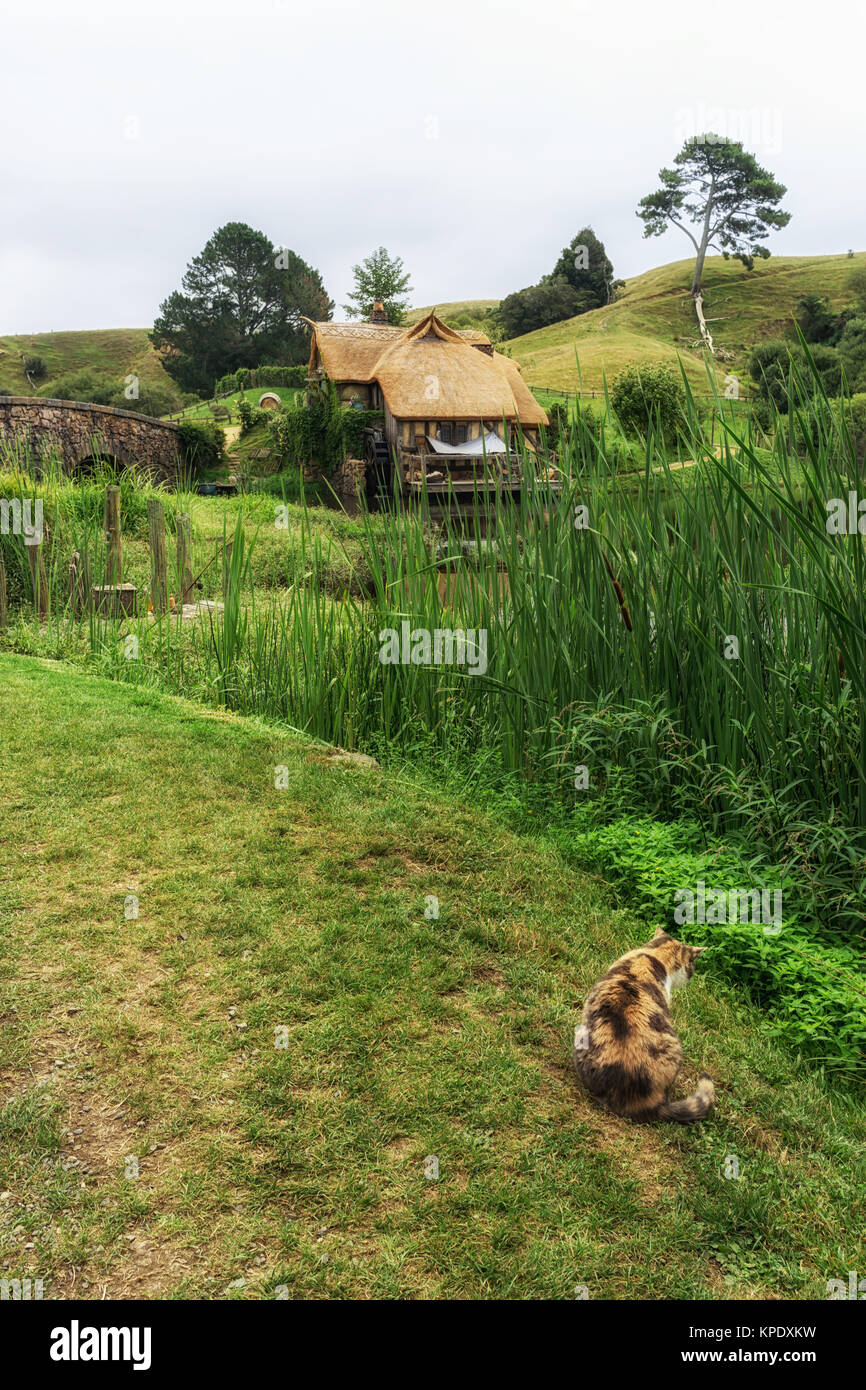 Hobbiton mill mit cat Stockfoto