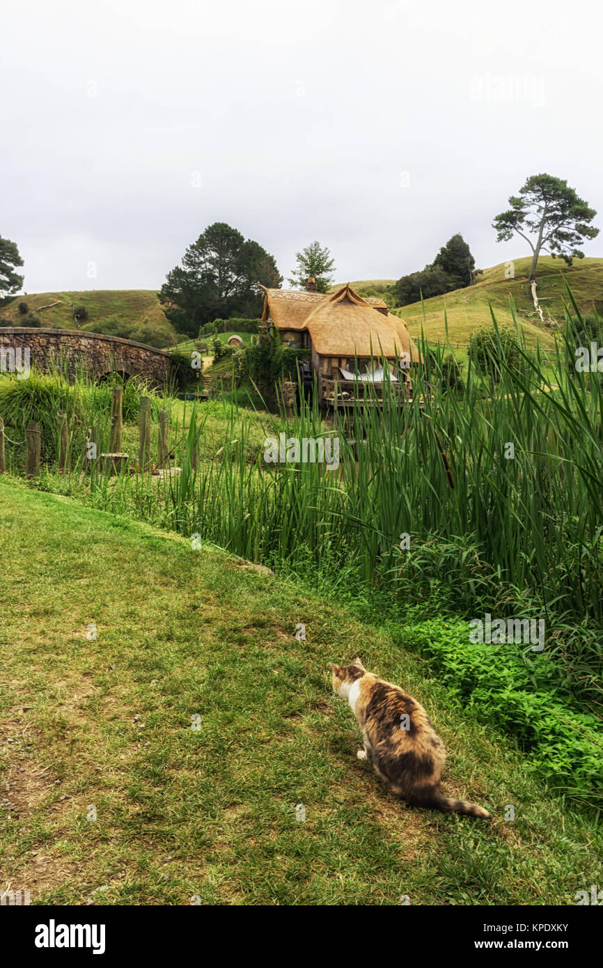 Hobbiton mill mit cat Stockfoto