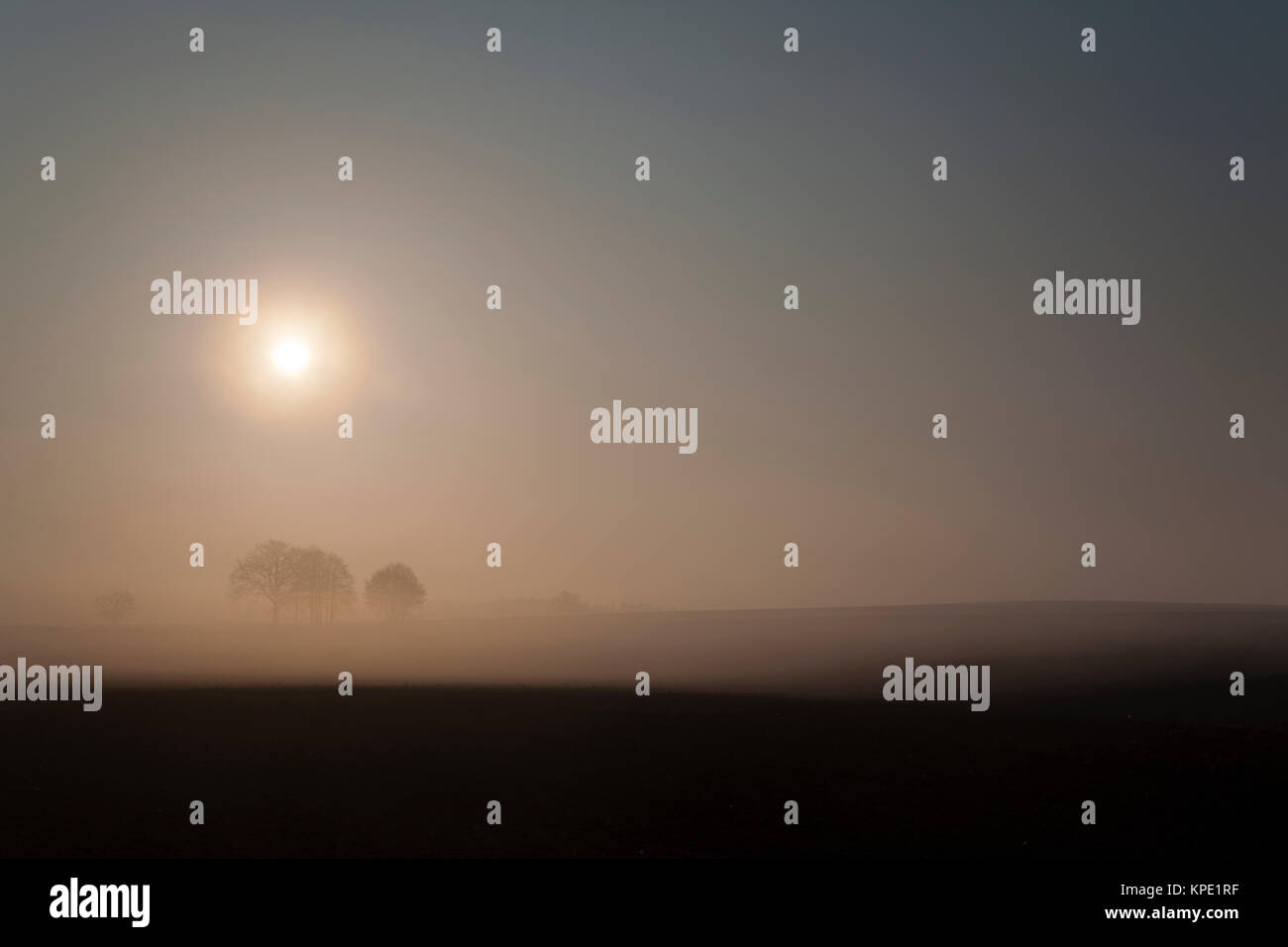 Sonnenaufgang im Nebel auf dem Feld, Wiesen und Wälder im Frühling, Nebelschwaden und durchbrechende Sonne Stockfoto