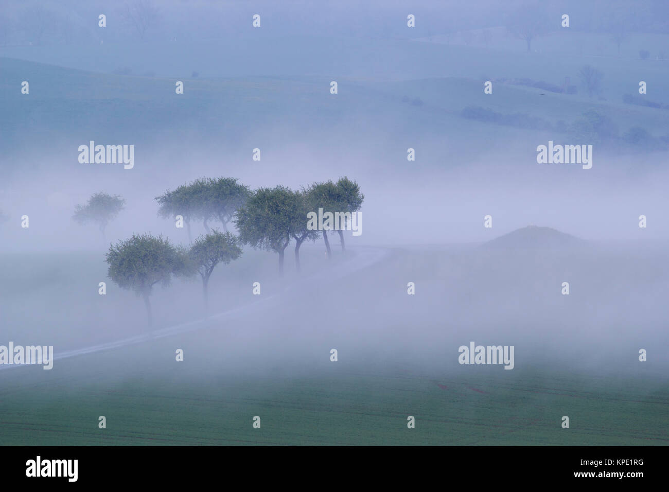 Sonnenaufgang im Nebel auf dem Feld, Wiesen und Wälder im Frühling, Nebelschwaden und durchbrechende Sonne Stockfoto