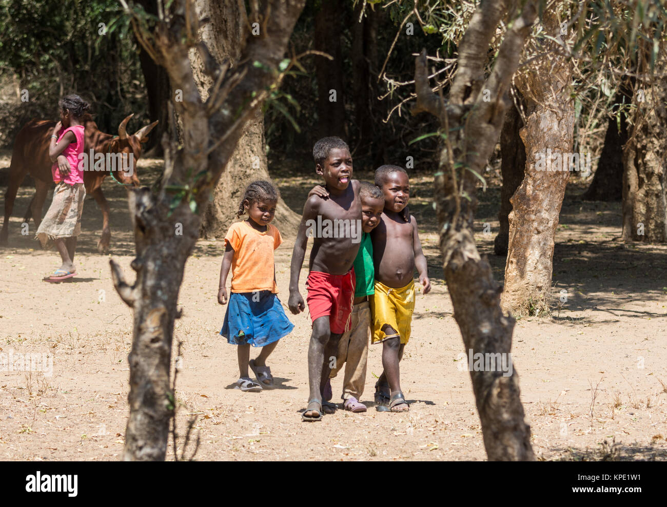 Madagassische Kinder im Dorf. Madagaskar, Afrika. Stockfoto