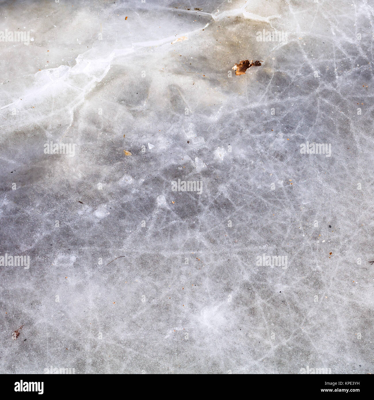 Gefrorenen Pfütze in kalten Wintertag Stockfoto