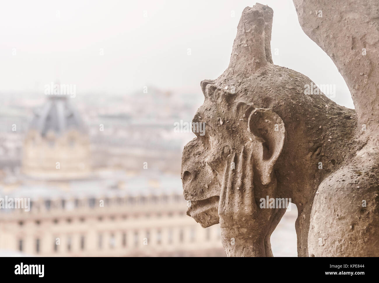 Nahaufnahme eines Chimaera der Kathedrale Notre-Dame von Paris (Frankreich) mit einer hellen Kopie Raum auf der linken Seite - Horizontale. Stockfoto