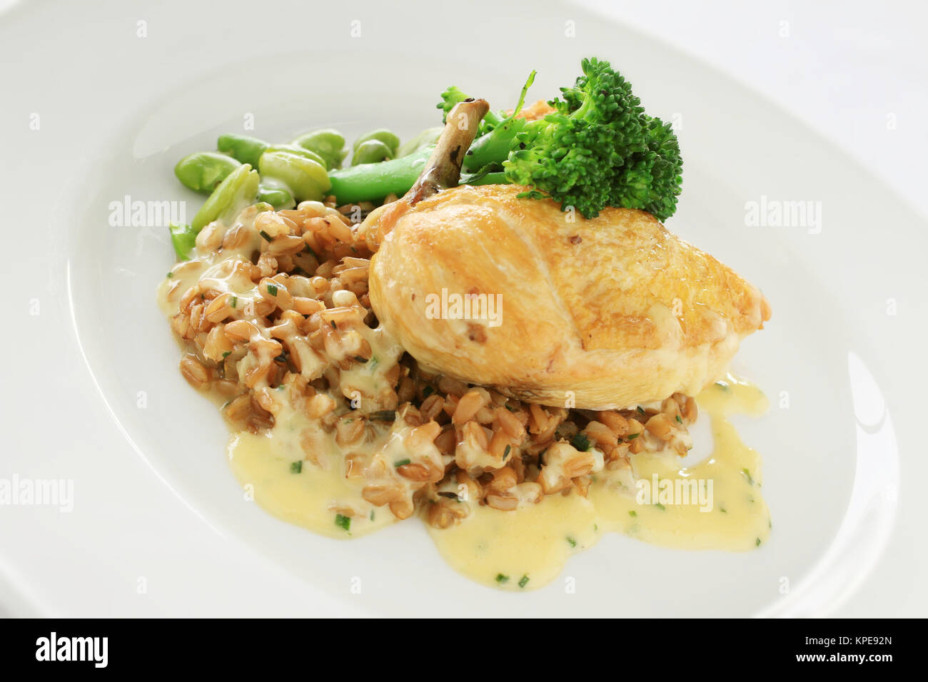 Gesundes Huhn Tellergericht mit Getreide und Gemüse Stockfotografie