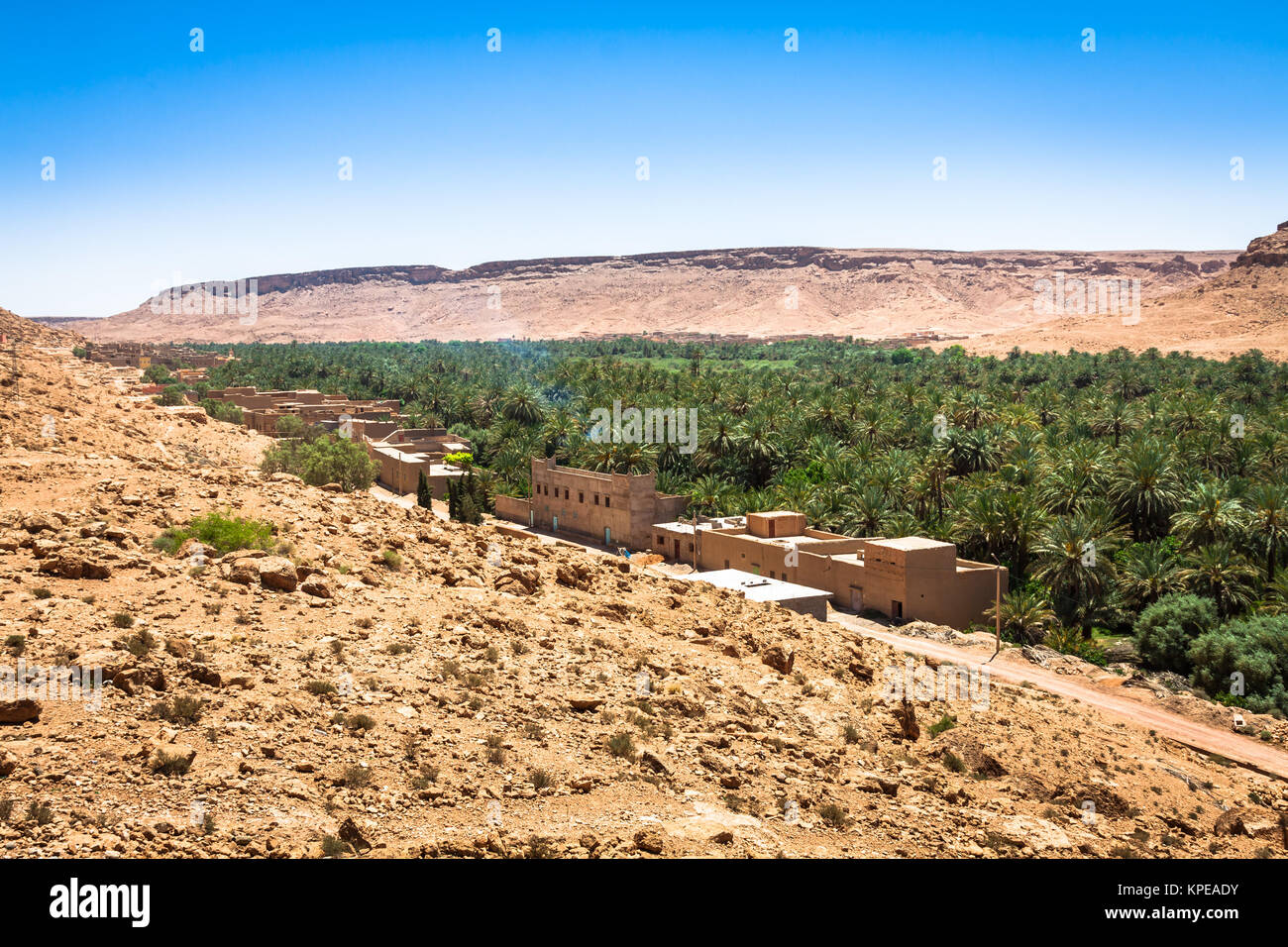 Ein Dorf, das an eine Oase an der Unterseite einer Schlucht in den Atlas, Marokko Stockfoto