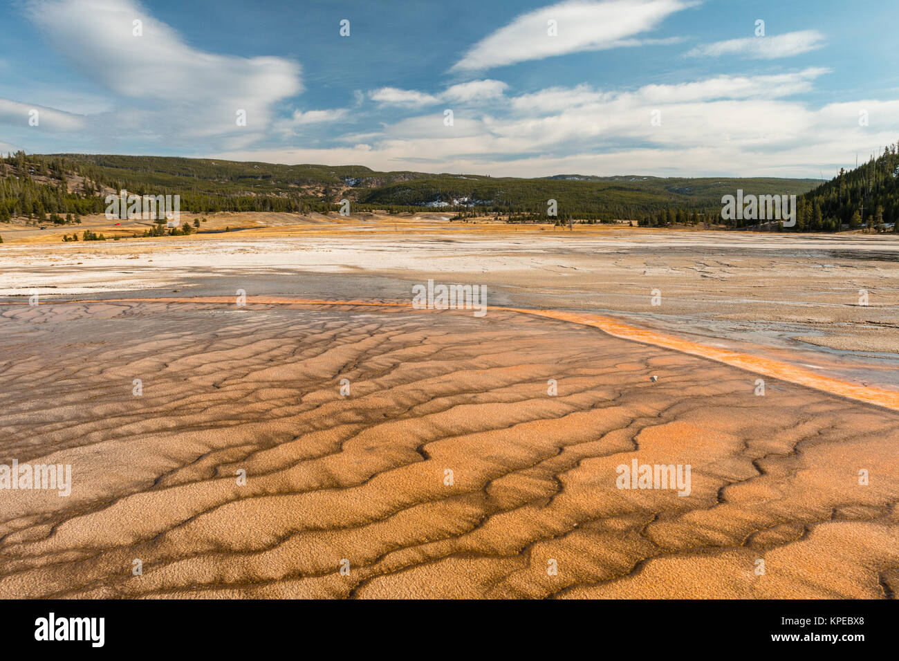 Bakterielle Matte zum Grand Prismatic heißen Quellen im Yellowstone Nationalpark, Wyoming Stockfoto
