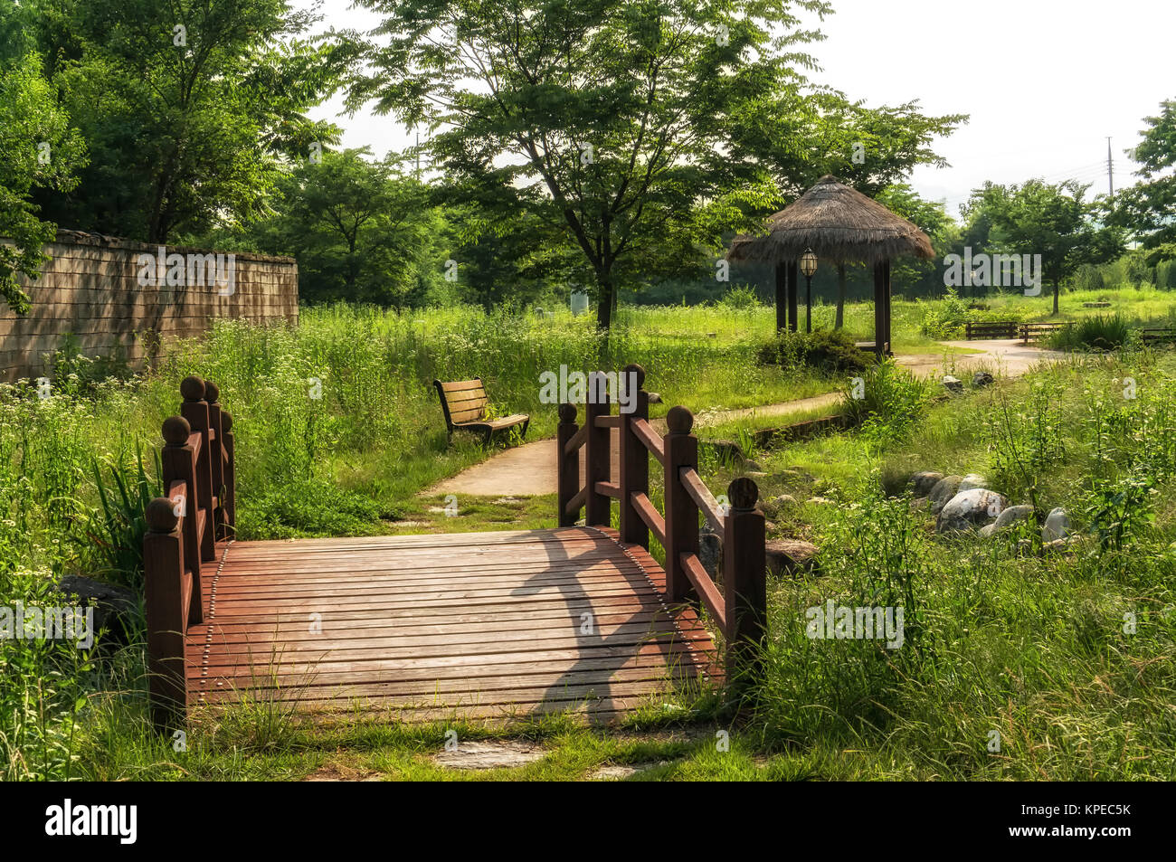 Park in Damyang Stockfoto