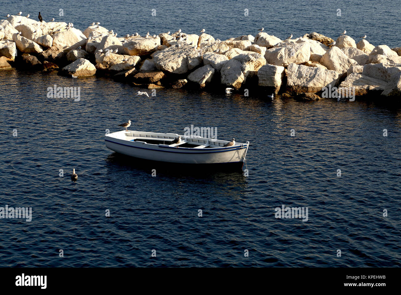 Barca bianca Nel Porto Stockfoto