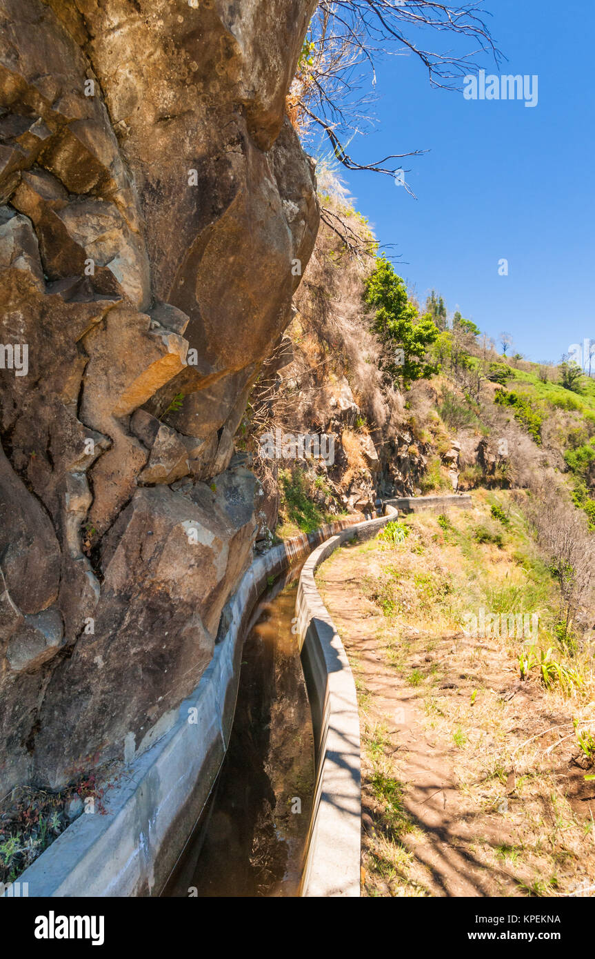 Levada Wanderweg entlang der felsigen Hang im Osten von Madeira - levada dos Tornos camacha. Stockfoto